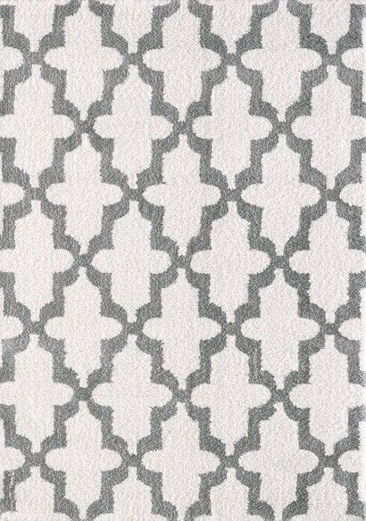 Dynamic Rugs SILKY SHAG 5906-110 White and Silver